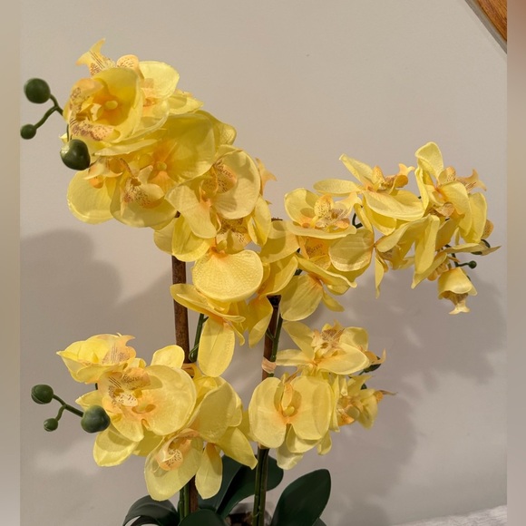 Yellow Orchid Arrangement in White Planter - Picture 8 of 9